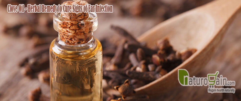 Clove Oil