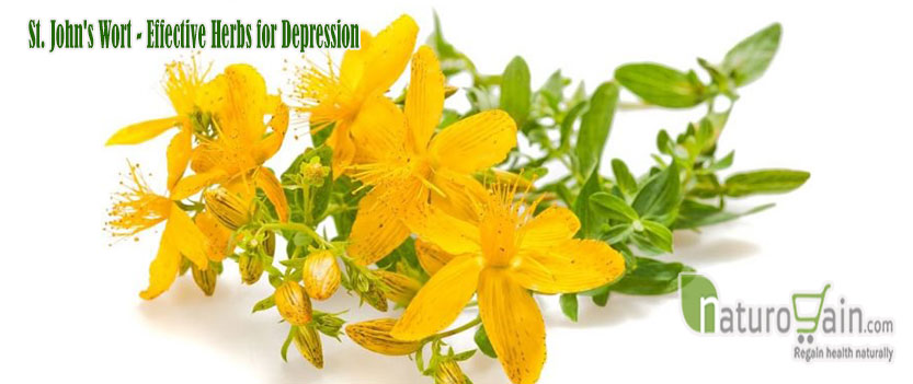 Effective Herbs for Depression