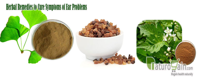 Herbal Remedies to Cure Symptoms of Ear Problems