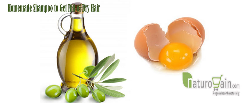 Is Olive Oil Shampoo Good For Natural Hair Is Olive Oil Shampoo Good For Natural Hair