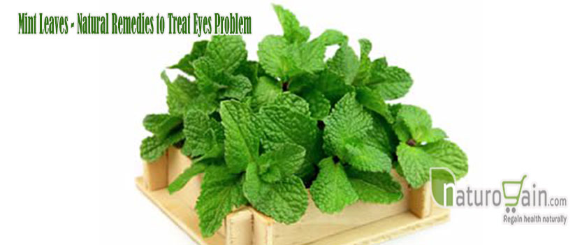 Mint Leaves