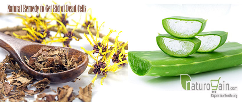 Natural Remedy to Get Rid of Dead Cells