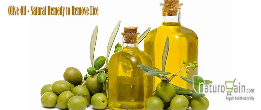 Olive Oil