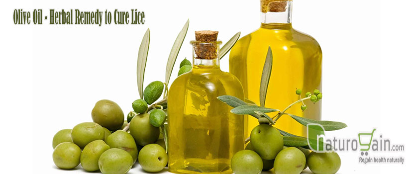 Olive Oil