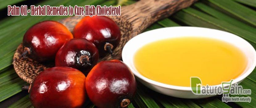 Palm Oil