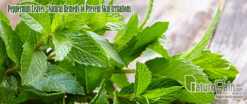 Peppermint Leaves