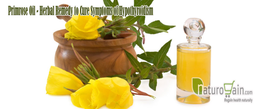 Primrose Oil