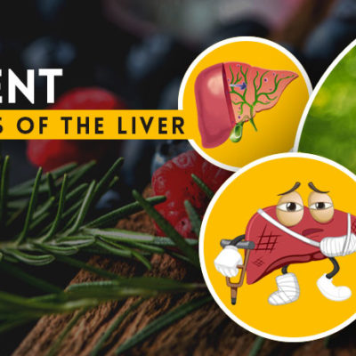 Herbal Treatment for Cirrhosis of the Liver