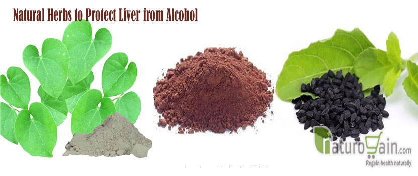 Herbs to Protect Liver