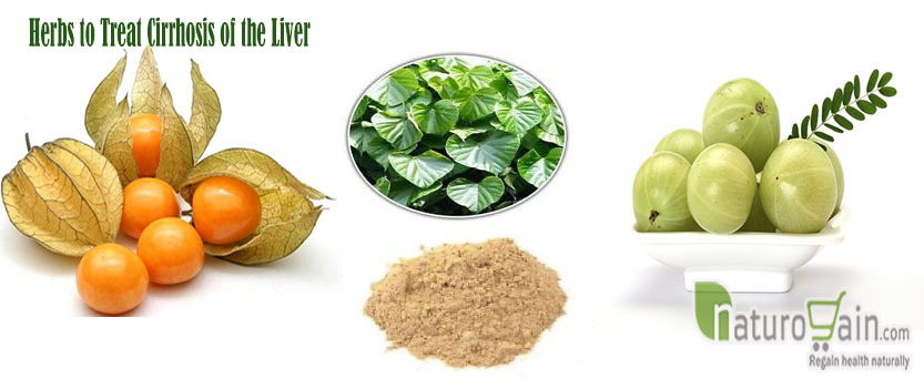 Herbs to Treat Cirrhosis of the Liver