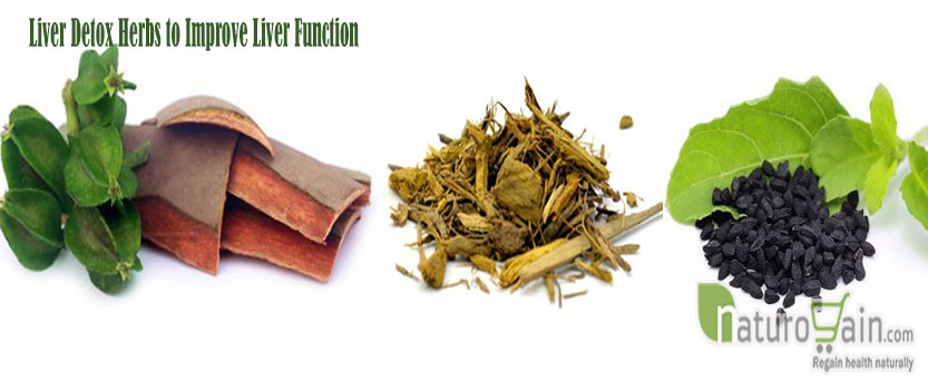 Liver Detox Herbs to Improve Liver Function