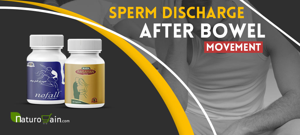 Sperm Discharge After Bowel Movement