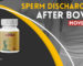 Sperm Discharge After Bowel Movement