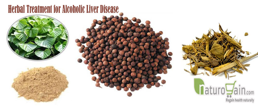 Treatment for Alcoholic Liver