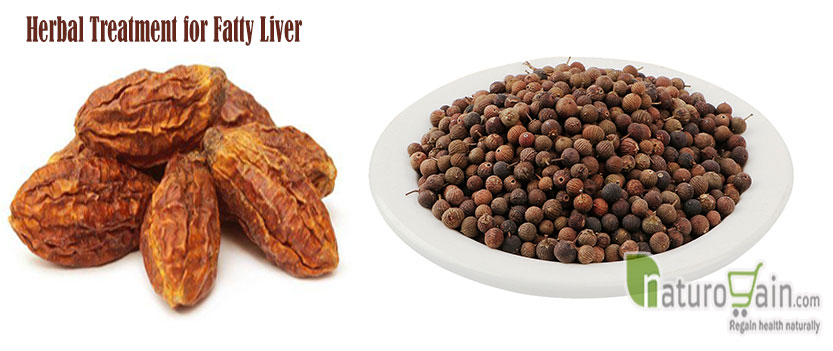 Treatment for Fatty Liver