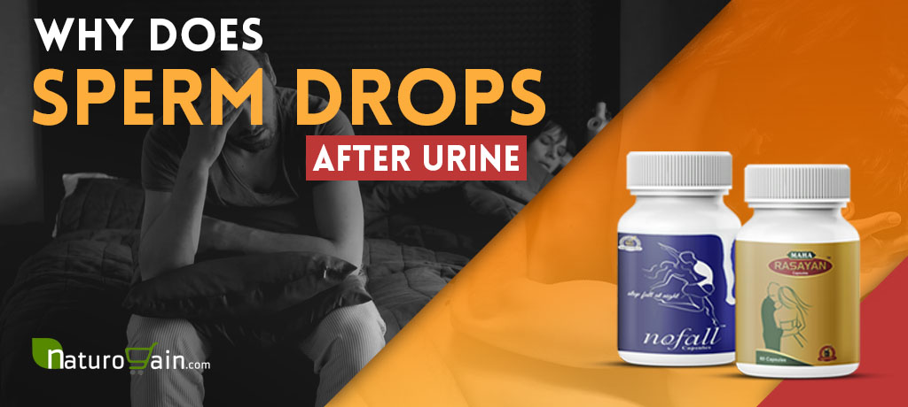 Sperm Drops After Urine