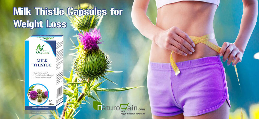 Milk Thistle Extract Capsules