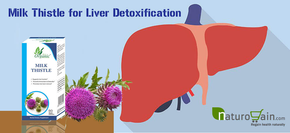 Milk Thistle Supplements for Liver Detox