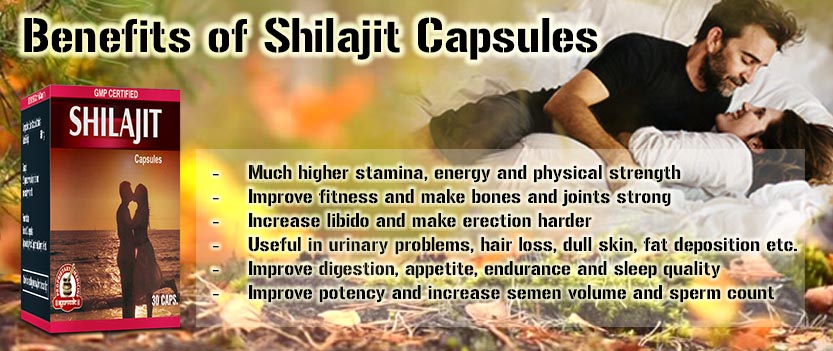 Benefits of Shilajit Capsules