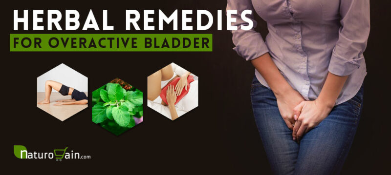 8 Herbal Remedies for Overactive Bladder - Relieve OAB Symptoms [Fast]