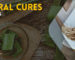 Natural Cures for Colitis