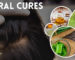 Natural Cures for Lice