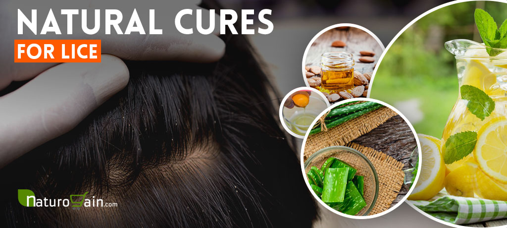 Natural Cures for Lice