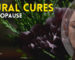 Menopause Natural Cures