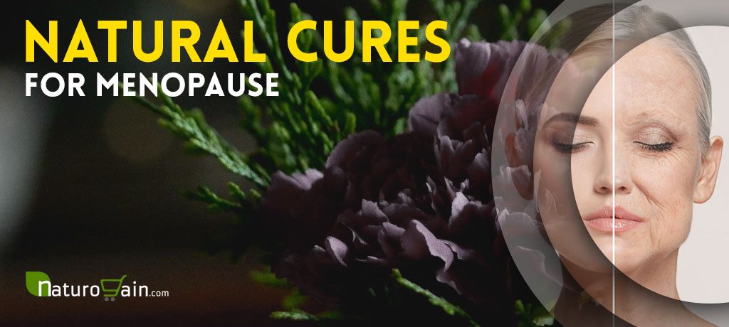 Menopause Natural Cures