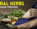 Herbs for High Blood Pressure