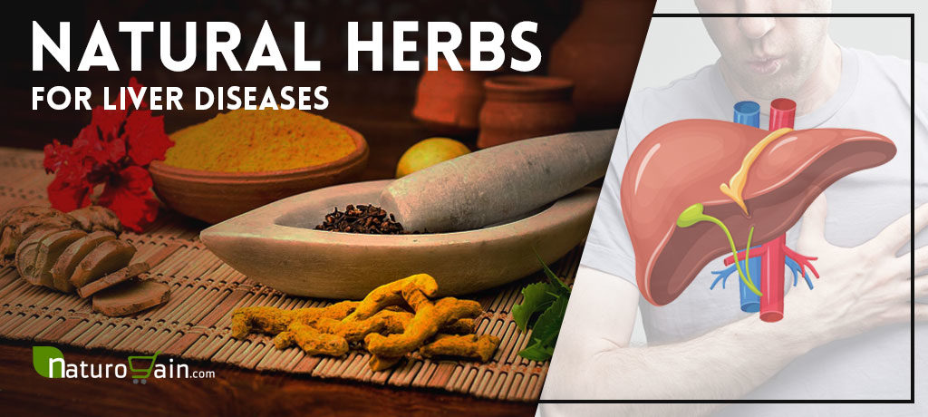 Herbs for Liver Diseases