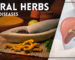 Herbs for Liver Diseases