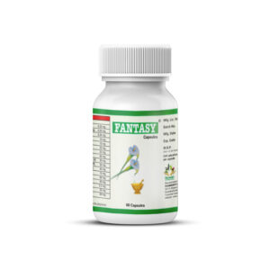 Natural Breast Augmentation & Enhancement with Fat Transfer