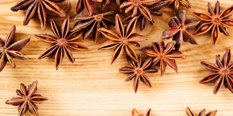 Anise Seeds Natural Remedy