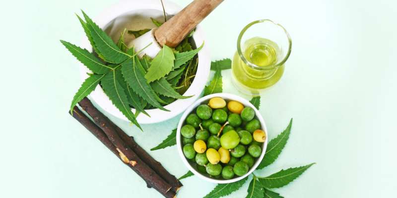 Neem Margosa Herbal Remedies